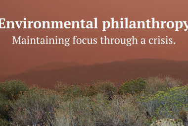 environmental philanthropy